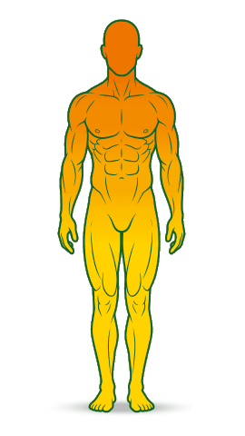 Function 1: Hunger and Satiety Regulation